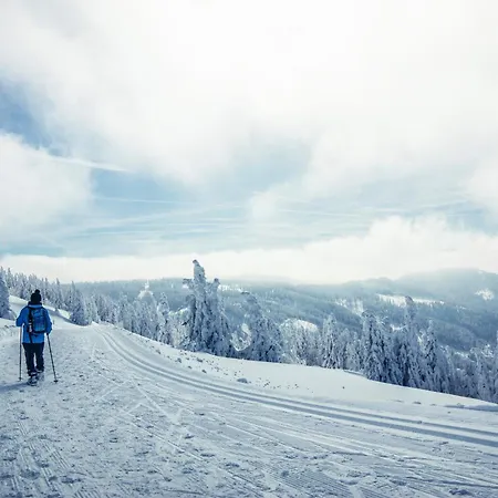Haus Elisabeth - Freiburg, 1 Schlafzimmer, Feldberg Nahe Skipiste * Feldberg (Baden-Wurttemberg)
