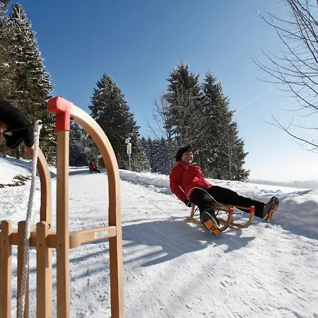 Haus Elisabeth - Freiburg, 1 Schlafzimmer, Feldberg Nahe Skipiste *