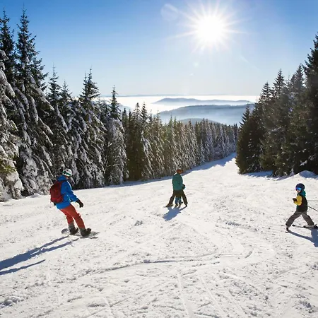 Haus Elisabeth - Freiburg, 1 Schlafzimmer, Feldberg Nahe Skipiste Apartamento *