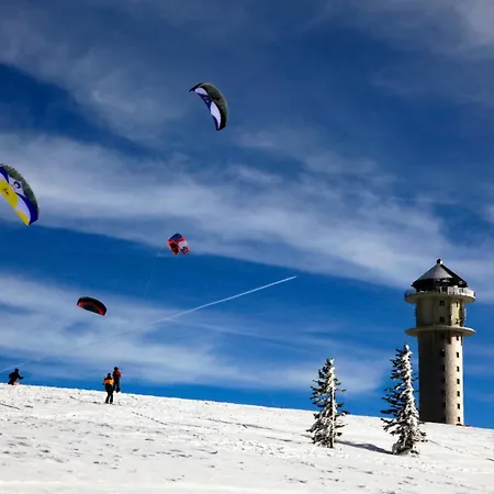 Apartamento Haus Elisabeth - Freiburg, 1 Schlafzimmer, Feldberg Nahe Skipiste Feldberg (Baden-Wurttemberg)