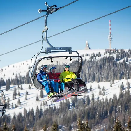 Haus Elisabeth - Freiburg, 1 Schlafzimmer, Feldberg Nahe Skipiste Apartamento *
