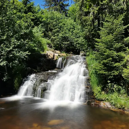 Apartamento Haus Elisabeth - Freiburg, 1 Schlafzimmer, Feldberg Nahe Skipiste Feldberg (Baden-Wurttemberg)