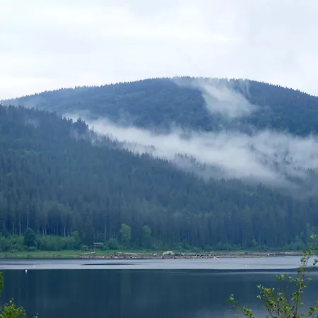 Haus Elisabeth - Freiburg, 1 Schlafzimmer, Feldberg Nahe Skipiste *