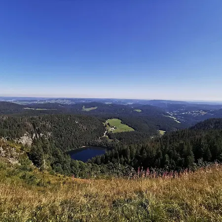Haus Elisabeth - Freiburg, 1 Schlafzimmer, Feldberg Nahe Skipiste Apartamento *