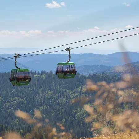 Apartamento Haus Elisabeth - Freiburg, 1 Schlafzimmer, Feldberg Nahe Skipiste